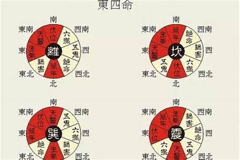 东西四命速查表|【收藏备用】东四命西四命速查表：一查便知你是东四。